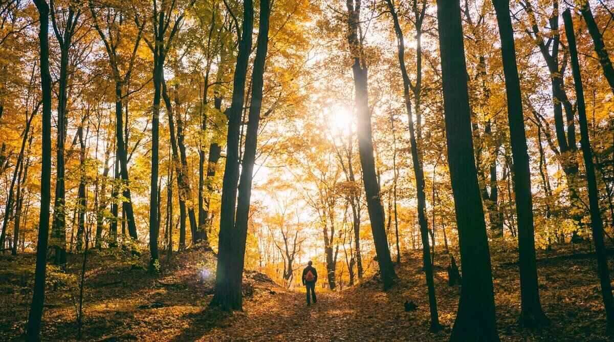 Ga wandelen en maak natuurwandelingen om te genieten van het prachtige herfstlandschap