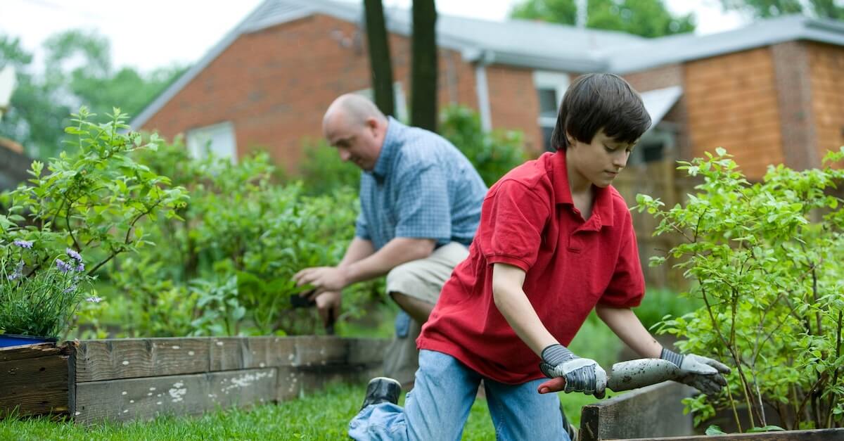 Leer een nieuwe hobby of vaardigheid terwijl u tijdens de vakantie thuis bent